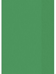 BRUNNEN Hefthülle · DIN A5 · transparent · grün