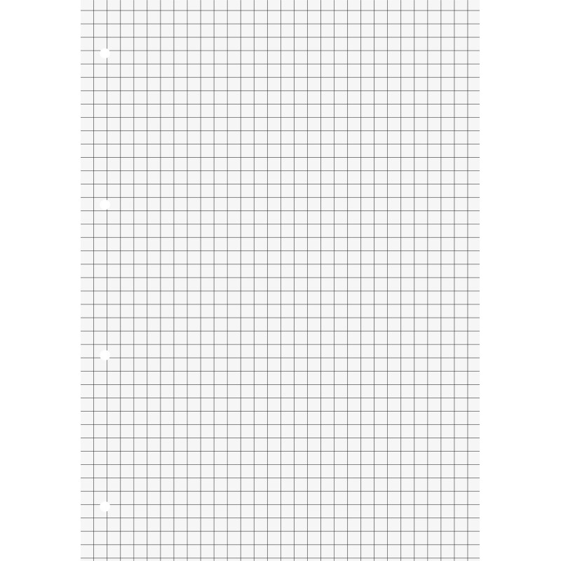 BRUNNEN Schulblock · DIN A4 · Lineatur 7 · 50 Blatt · Premium