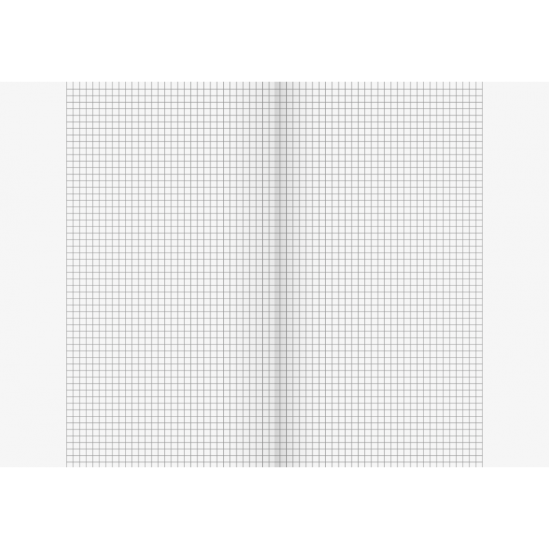 BRUNNEN Schulheft · DIN A4 · Lineatur 26 · kariert mit Rand · 16 Blatt · Umweltpapier