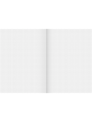 BRUNNEN Doppelheft · DIN A4 · Lineatur 22 · kariert ohne Rand · 32 Blatt · Umweltpapier