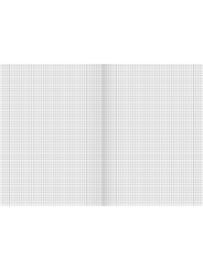 BRUNNEN Doppelheft · DIN A4 · Lineatur 28 · kariert mit Doppelrand · 32 Blatt · Umweltpapier