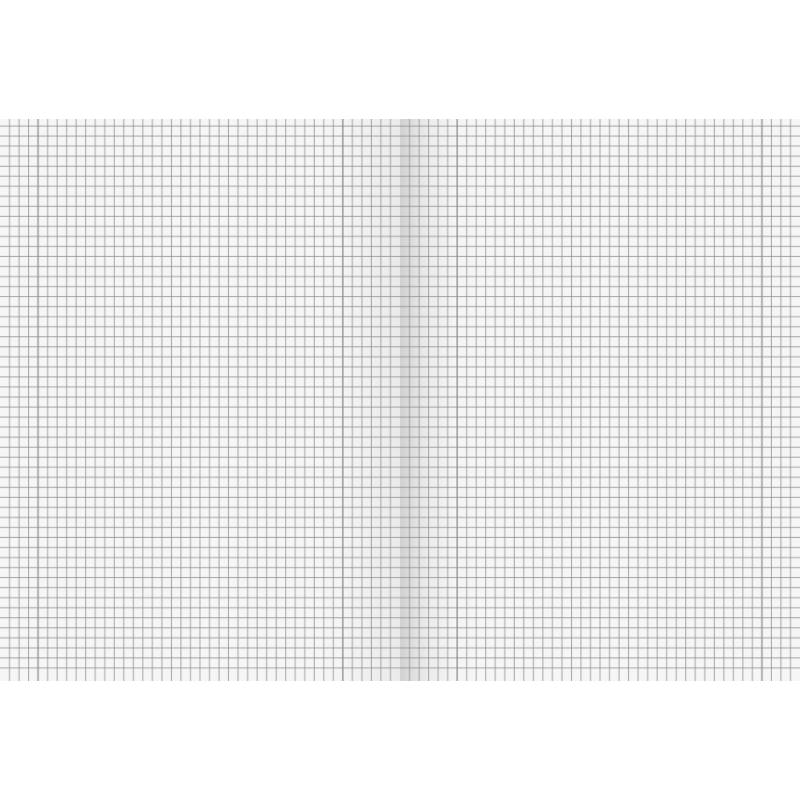 BRUNNEN Doppelheft · DIN A4 · Lineatur 28 · kariert mit Doppelrand · 32 Blatt · Umweltpapier