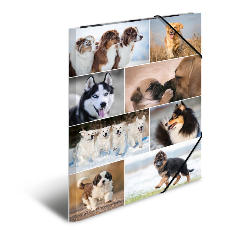 HERMA Sammelmappe · A3 · Karton · Hunde HERMA Sammelmappe · A3 · Karton · Hunde