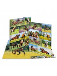 HERMA Sammelmappe · A3 · Karton · Pferdewiese