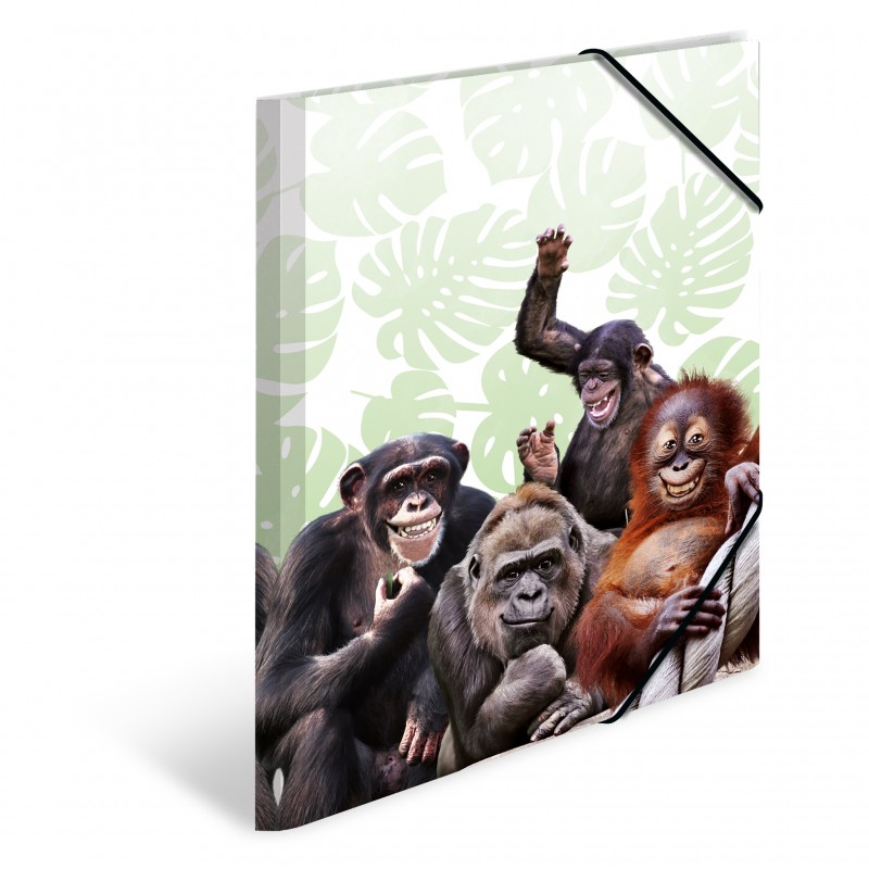 HERMA Sammelmappe · A3 · PP · Tiere · Affenbande HERMA Sammelmappe · A3 · PP · Tiere · Affenbande